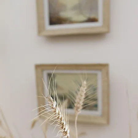 Affittacamere Manoir Du Clap 3*