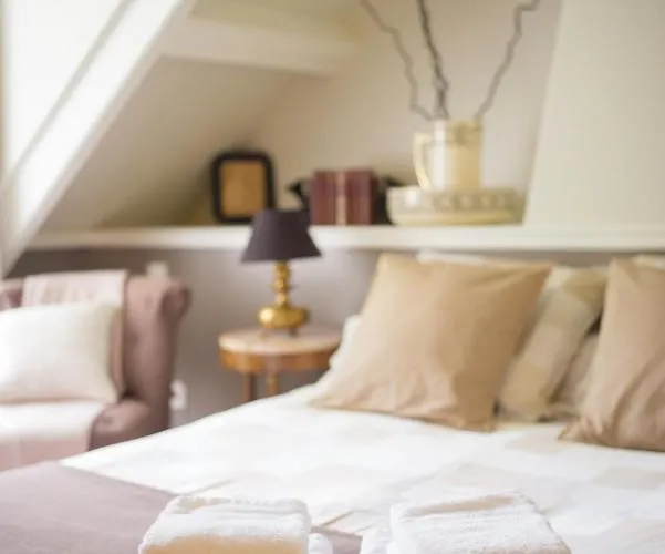 Guest house Manoir Du Clap 3*