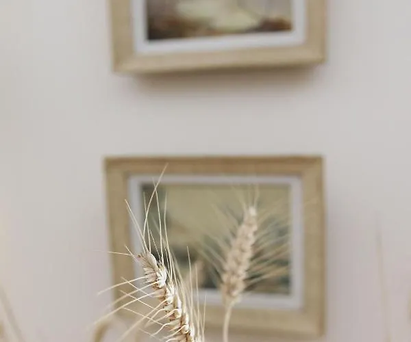 Guest house Manoir Du Clap 3*