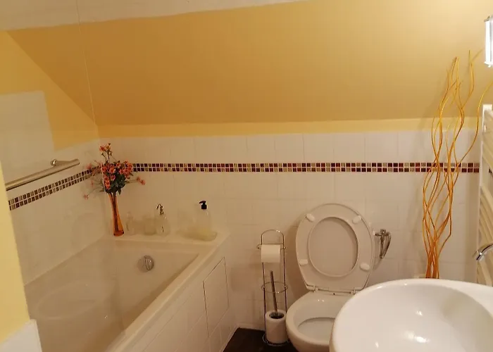 Guest house Manoir Du Clap 3*