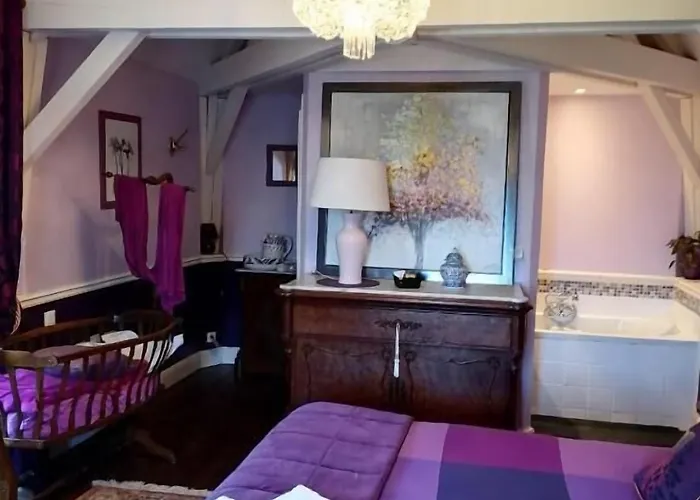 Guest house Manoir Du Clap 3*